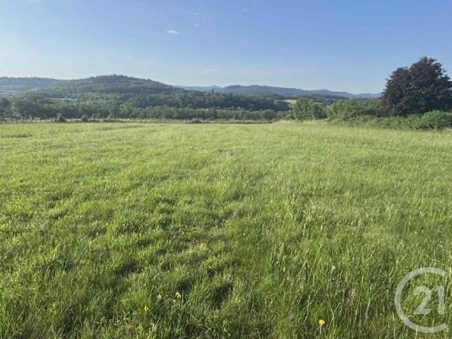 terrain - COURLANS - 39